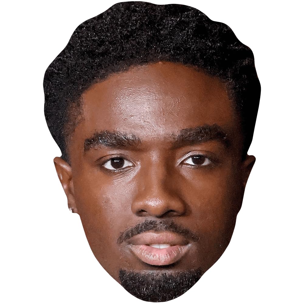 Celebrity Cutouts Lifelike Caleb Mclaughlin (Goatee) Big Head. Larger Than Life Mask.