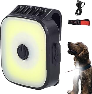 ヘッドライト 充電式,明るい 軽量 多モード Type-C 充電可能 アクセサリ | バッテリー駆動 ヘッドライト,釣り 夜間散歩 サイクリング アウトドア メンンテナンス作業用