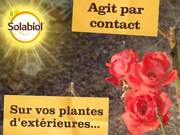 SOLABIOL Anti Pucerons - Pulvérisateur - Prêt A L'emploi - 750ml - Action Rapide - Agit Par Contact - Plantes D'Intérieur & D’Extérieur SOPUCPAL750N - 2