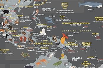 Amazon.co.jp: 7e8デザイン どうぶつせかいちず サイズ B1 (英語