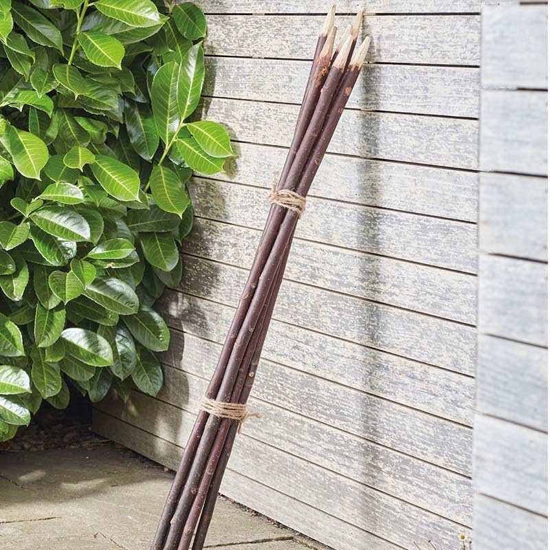 0.9m (3ft) Willow Gro-Stakes, With pointed tip Plant support 5 pack
