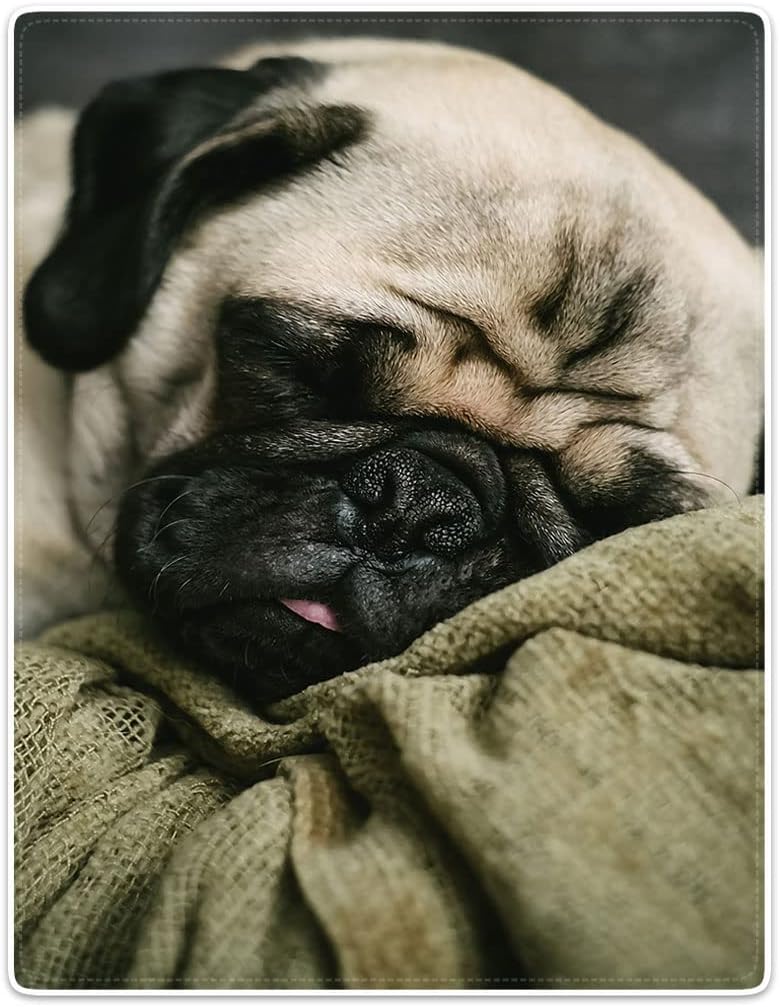 Funny Pug Dog Blanket 60" x 80" Plush Blankets for Couch Sofa Bed,Soft Cozy Warm Lightweight Fuzzy Throws Gift for Pet Lovers