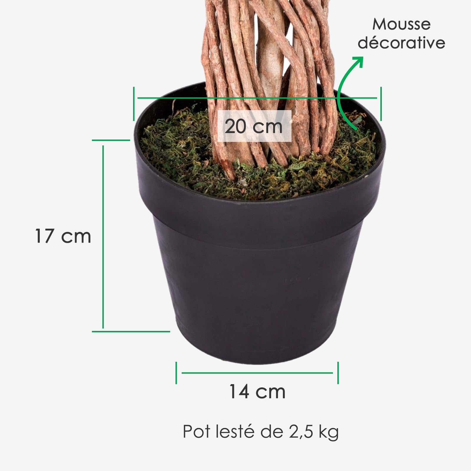 HOMESCAPES Plantes Artificielles Interieur, Ficus Benjamina Plante Artificielle, 180cm, Fausse Plante Interieur, Arbre Artificiel, avec Tronc en Bois véritable, Maison Balcon Déco (1 Pack)
