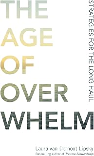 The Age of Overwhelm: Strategies for the Long Haul