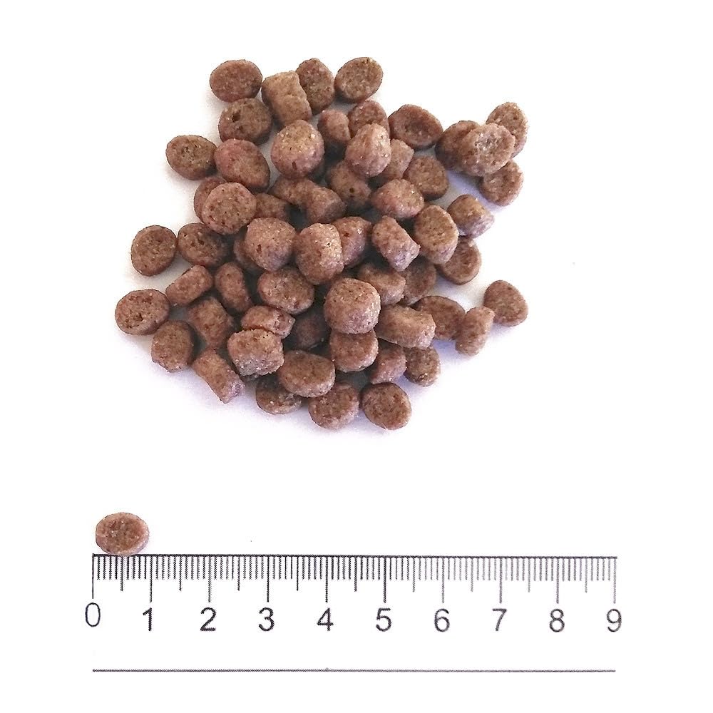 Prolife Dual Fresh Adult Tacchino Fresco, Maiale e Riso 2x2kg (4kg) | Confezione doppia