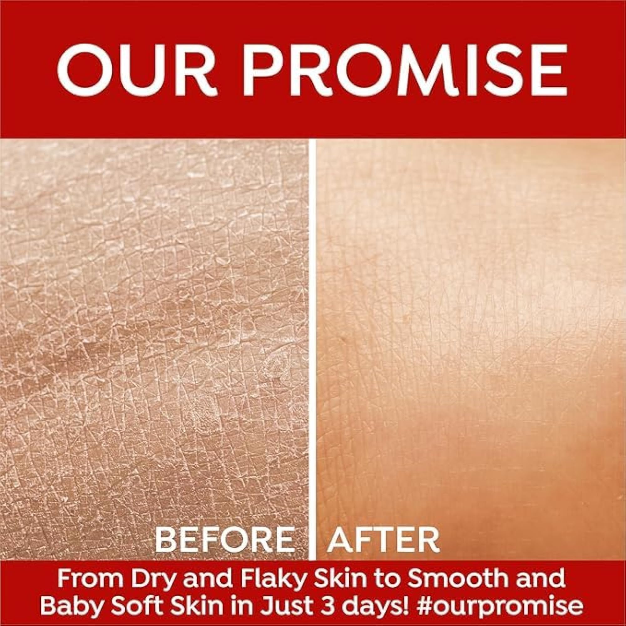 Fruit Bliss Cold Cream, Intense Nourishment & 24-Hour Moisturization