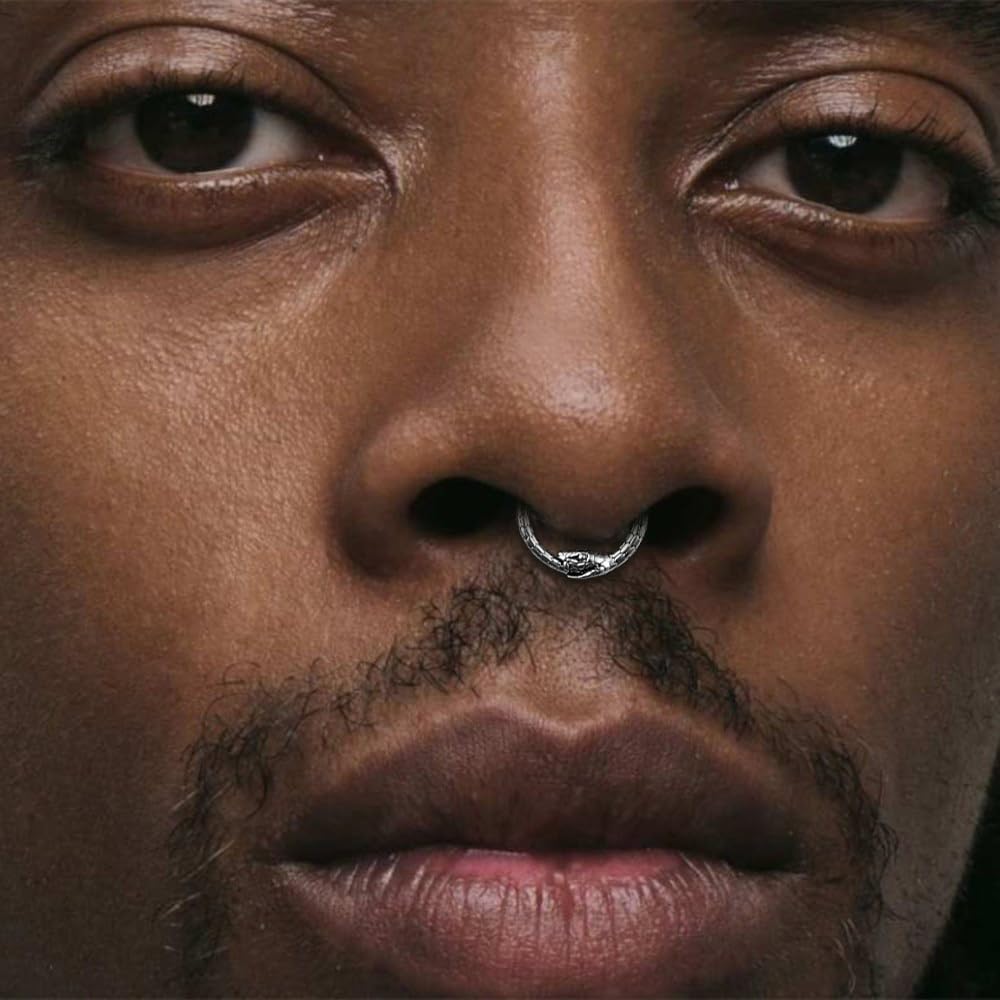 1Pack 16G/8mm Surgical Stainless Steel Segment Nose Rings,Cartilage Clicker Hoop Earrings for Rook,Daith,Tragus, Gold Silver septum rings for men and women - Image 3