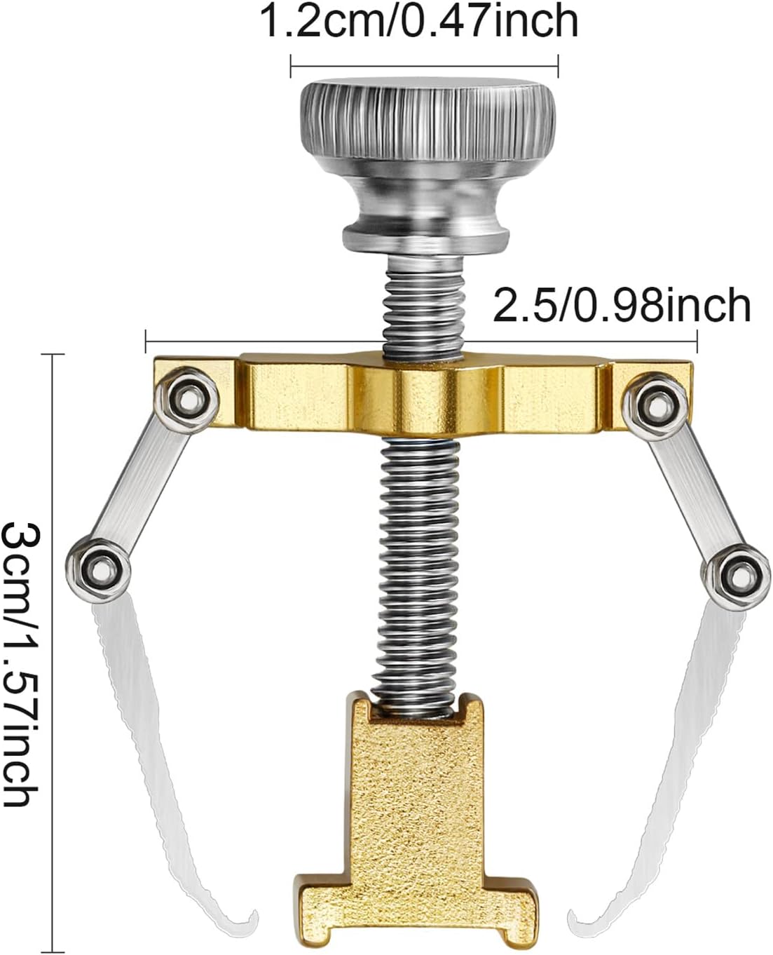Mudder 2 Pieces Ingrown Toenail Lifter Ingrown Toenail Tool Toe Clamp Stainless Steel Foot Care Tool for Paronychia (Gold)