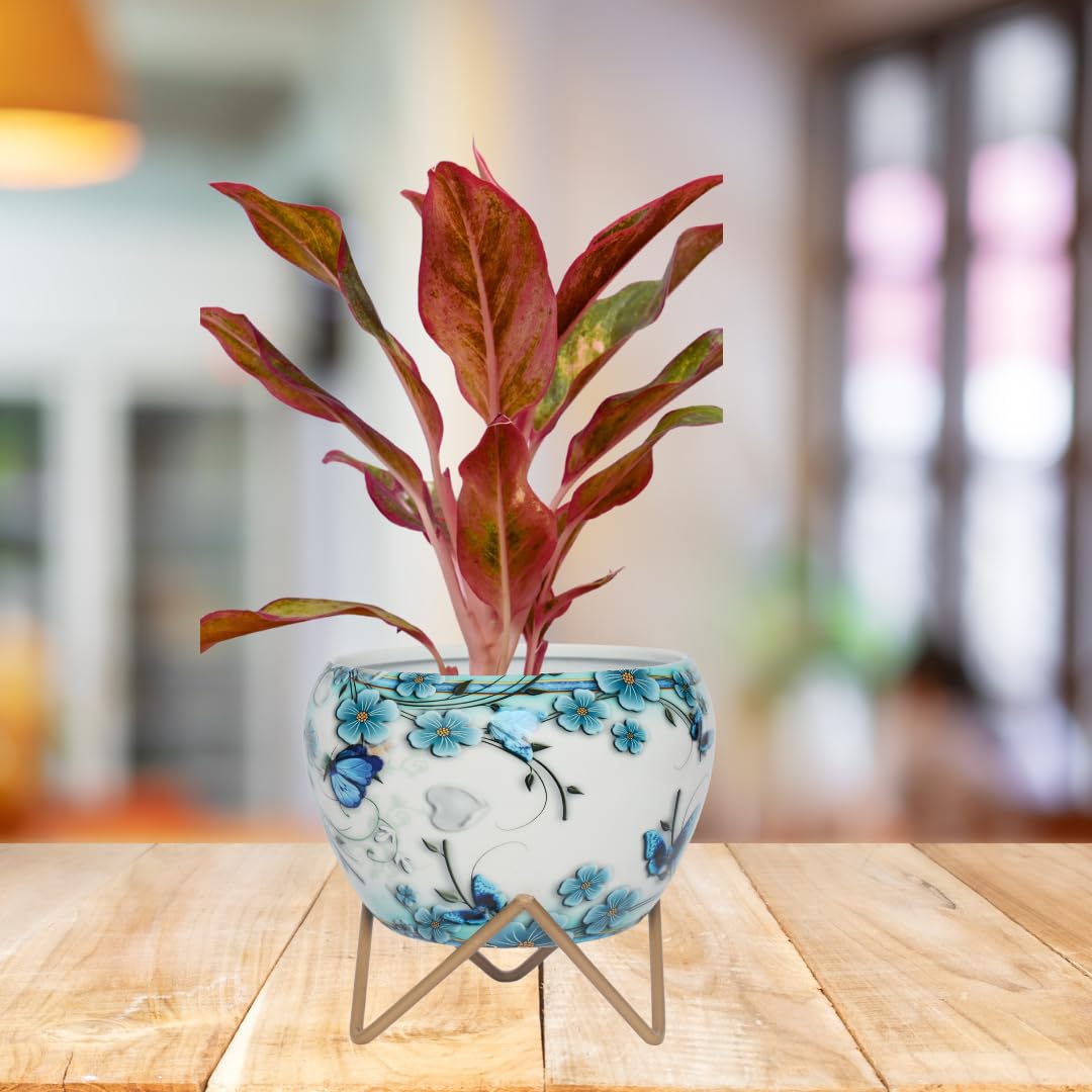 The Subtle Art® Eccentric White and Blue Blossom Planter with Matte Golden Stand (Pot Dia: 5.9 inches), for Indoor & Outdoor Plants, Living Room, Bedroom, Home & Office Decor, Table Top, Gifting (B0CJM8CXSR) Amazon Price History, Amazon Price Tracker