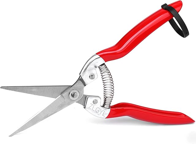 ZLGYL Professional Micro-Tip Pruning Snip, Small Garden Hand Pruner & Shears for Arranging Flowers, Trimming Plants & Hydroponic Herbs, and Harvesting Fruits & Vegetables(Size L)