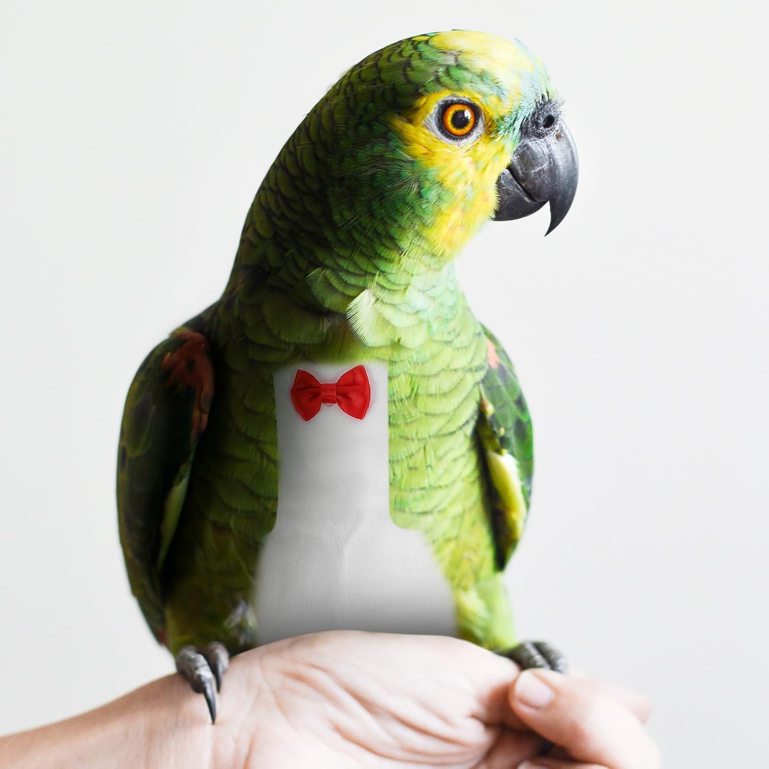 Bird Diapers for Parakeets and Parrots Reusable Breathable White Large Size Pigeon Diaper Outfit Suitable for Outdoor Flying Birds