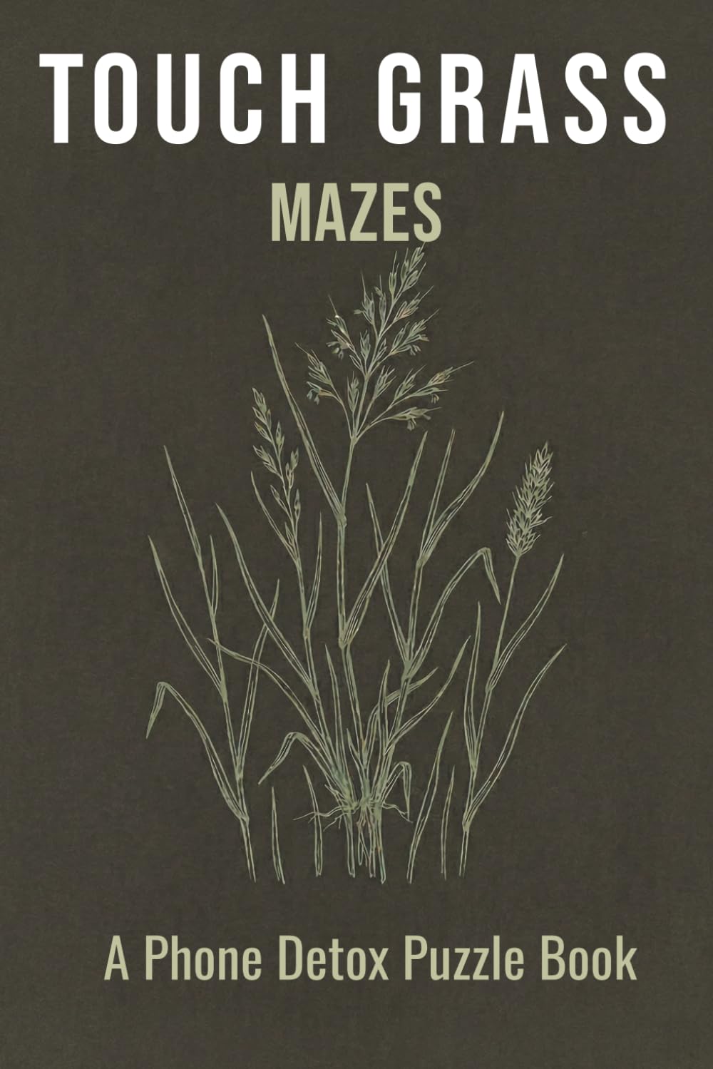 Touch Grass Maze Puzzle Book: 50+ Mazes for Adults Who Need to Put the Phone Down | Phone Detox Activity Book | Screen-Free Fun | 6x9, 110 Pages | Solutions Included