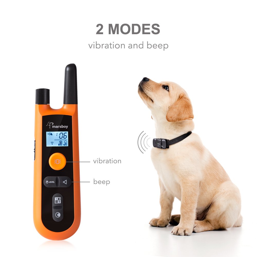 marsboy dog training collar