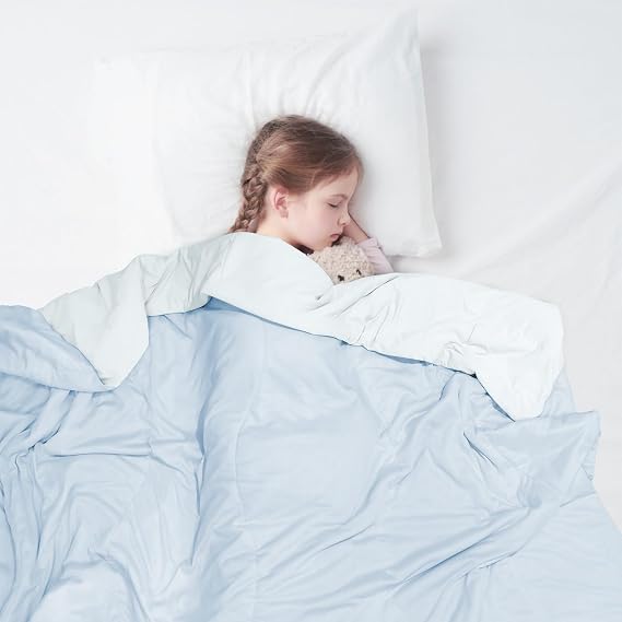 zzlamb Toddler Down Comforter for All Season & Reversible Baby Blanket for Double Use
