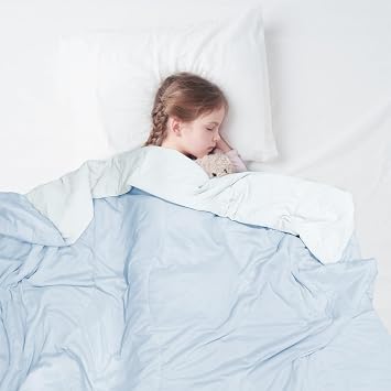 zzlamb Toddler Down Comforter for All Season & Reversible Baby Blanket for Double Use