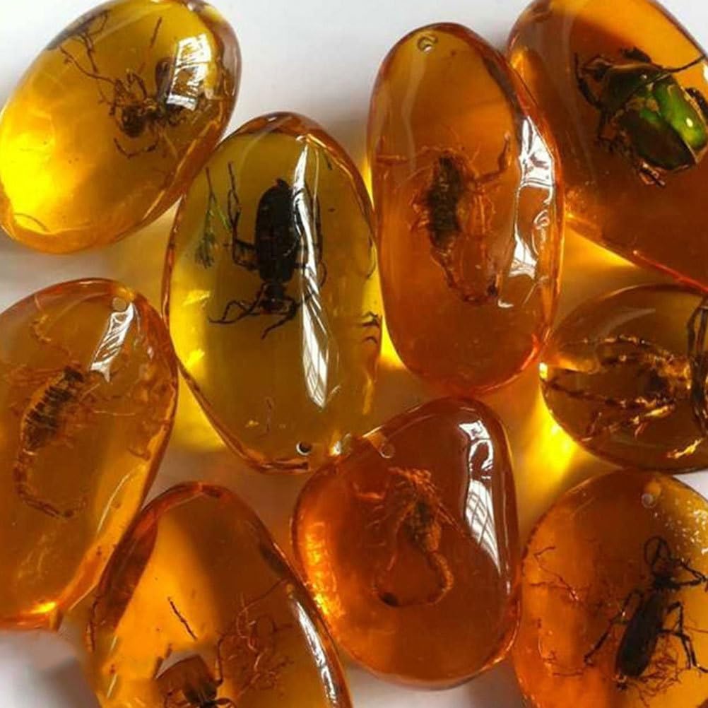 Milisten Mezcla de fósiles de con piedras de muestras de insectos. "Kristallproben Wohnaccessoires - Colección de colgantes ovalados para niños (2 unidades)