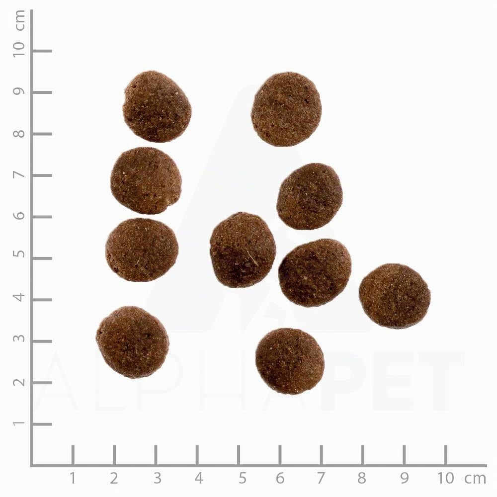 Lamm Adult Sensitiv | Trockenfutter mit natürlichen Zutaten und wertvollen Superfoods für ausgewachsene Hunde. Alleinfutter ohne Zusatzstoffe im Beutel | 15kg Lamm