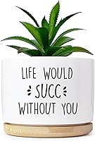 Vista 9 de Macetas Divertidas para Cultivo de Plantas de Interior, Lindas Macetas para Plantas que Cultivan Niñas, Planta Suculenta, Planta de Cactus, Maceta