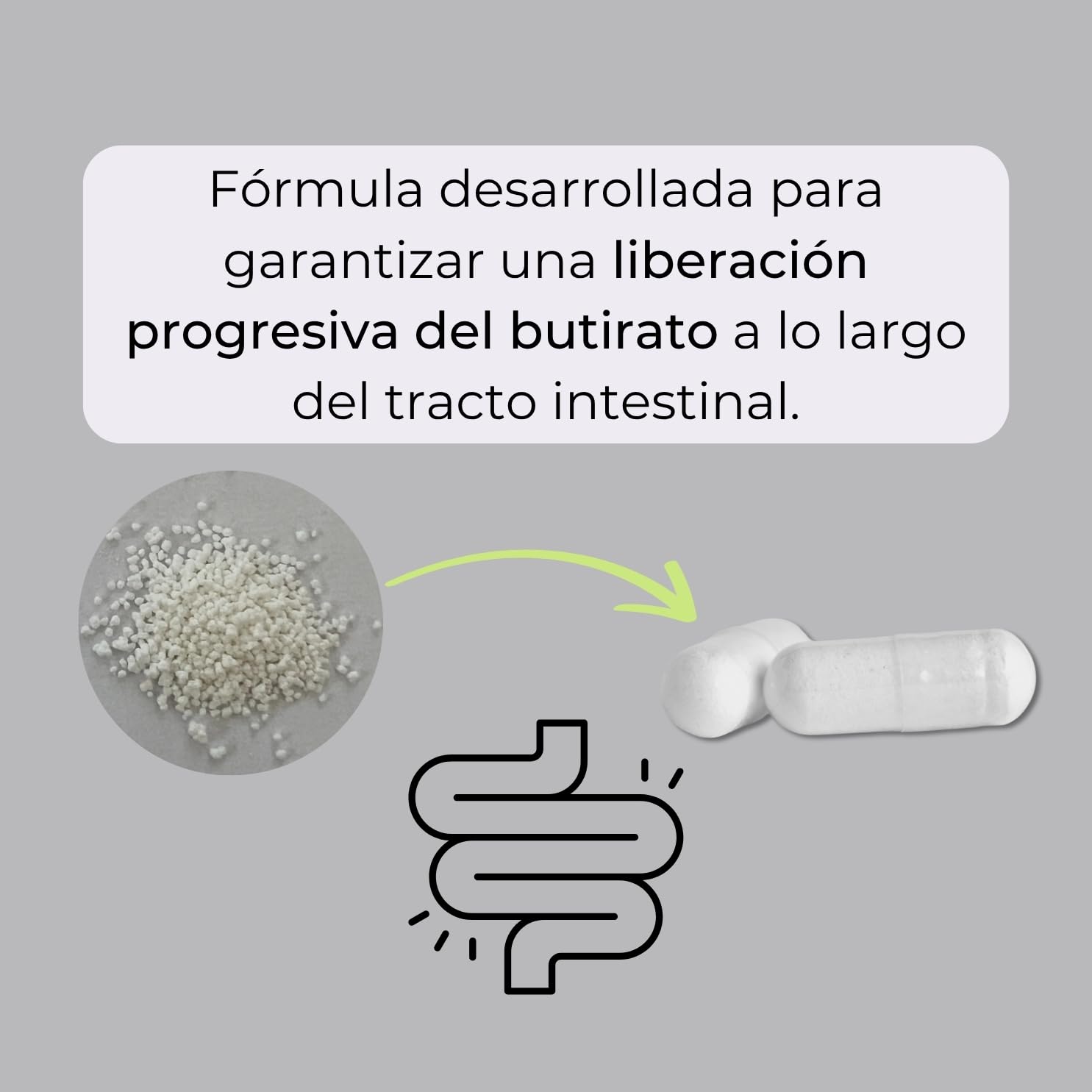 OPTIM Butyrate - Suplemento de Butirato de Sodio 285 mg para Microbiota - Liberación Progresiva Microencapsulado - 90 Cápsulas - Ácido Butírico para Bienestar Intestinal y Colon