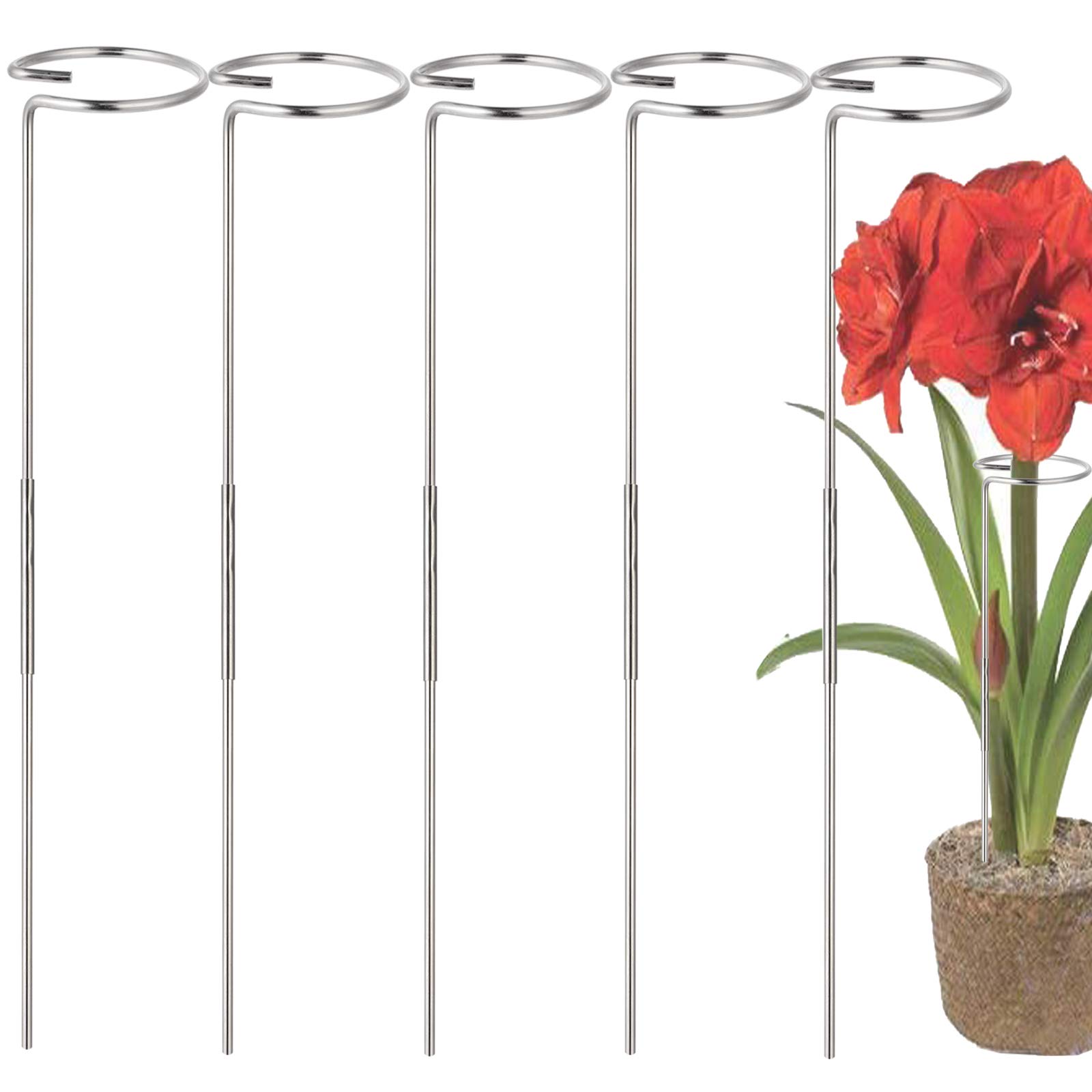 30 Inch Or 16 InchPlant Stakes for Flowers - 5 Pack (DIY), Stainless Steel Garden Tall Single Stem Support Stake Plant Cage Support Rings with Adjustable Height Fit Flowers, Plant Stable