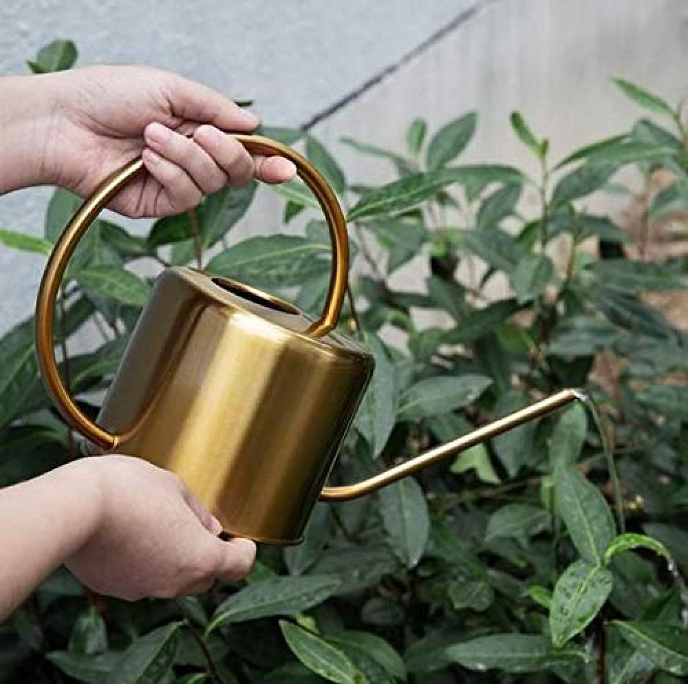 CLQ Gießkanne Aus Edelstahl - Gartengießkanne Mit Langem Hals Für Familie, Büro, Topfpflanzen-1500ml