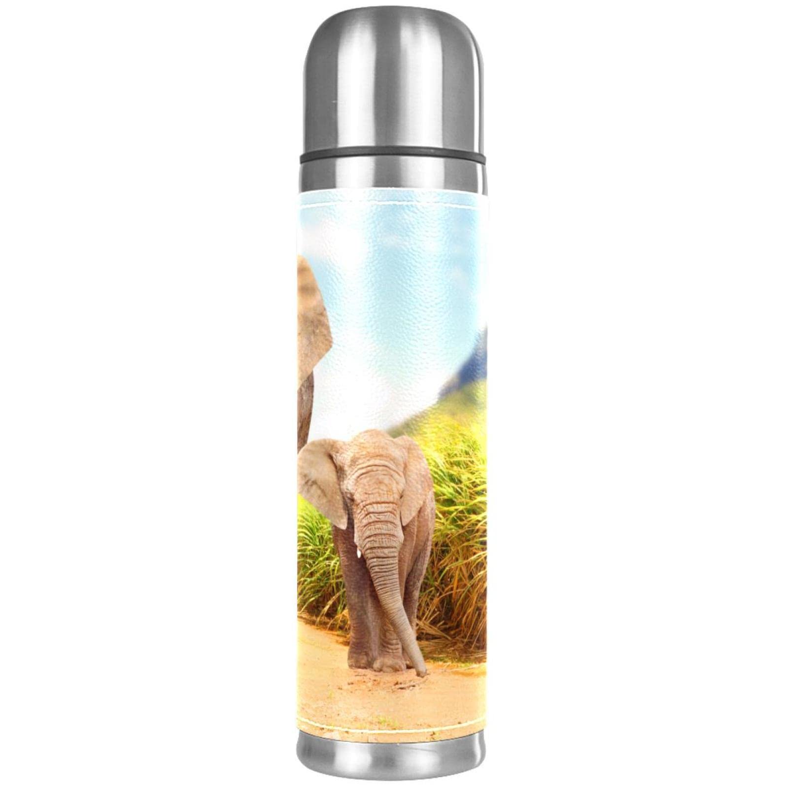 Bouteille d'eau éléphants fiole isolation double paroi inox gourde