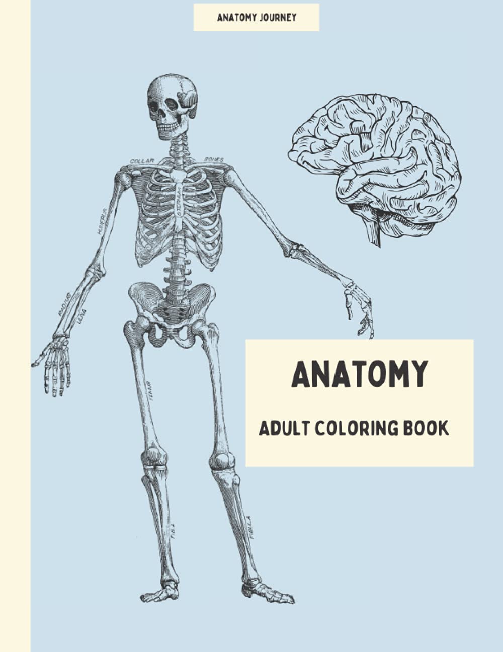 Anatomy Coloring Book for Adults- Easy to Color Motives of Human Anatomy, Gift for Doctors and Students of Medicine, 24 Motives