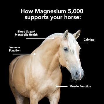 Magnesium 5000 (10lb) for Horses | Calming Support, Metabolism Support, Muscle Function Support