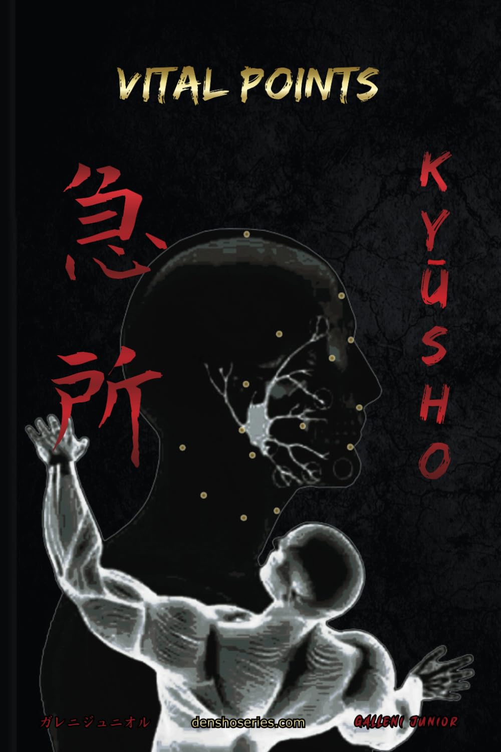 KYŪSHO - VITAL POINTS: Vital Points based on Koppō Jutsu and Ninjutsu (Bujinkan Ninjutsu Books)