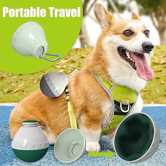 Canareen Foldable Dog Water Bottle for On The Go - Portable Pet Water Bottle for Dog Cat Outdoor Walking Hiking Travel (Grey, 200ml) 1