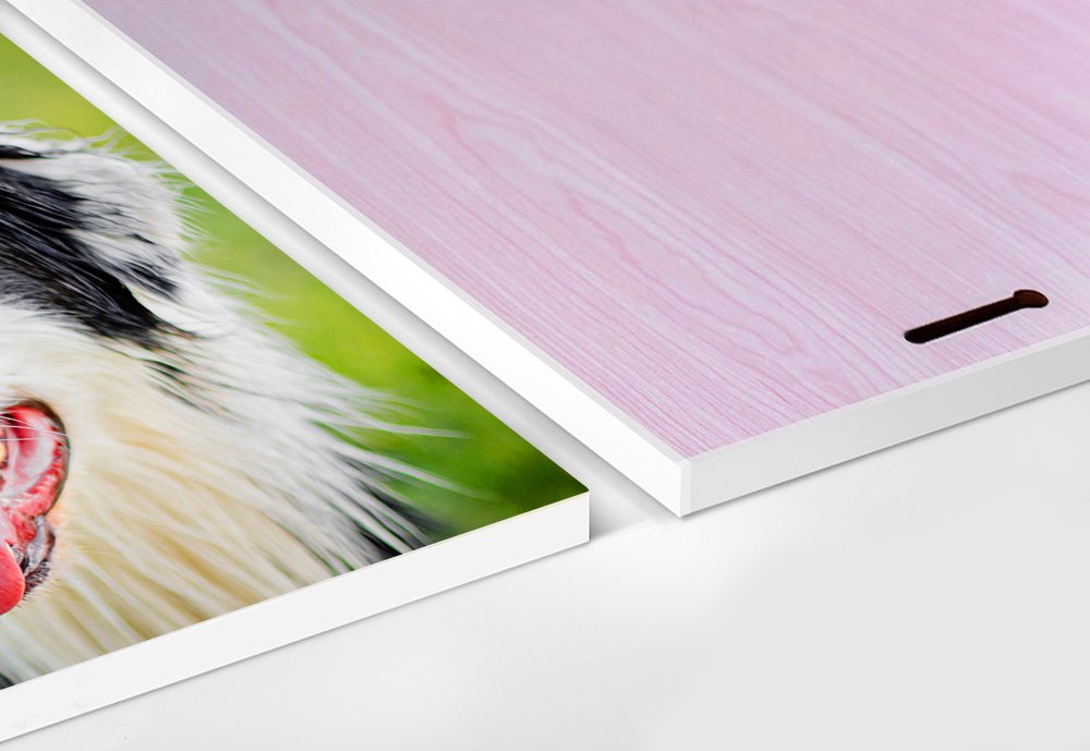 Amazon.co.jp: アルパカの母とカブ 動物の写真 壁掛け式の装飾画