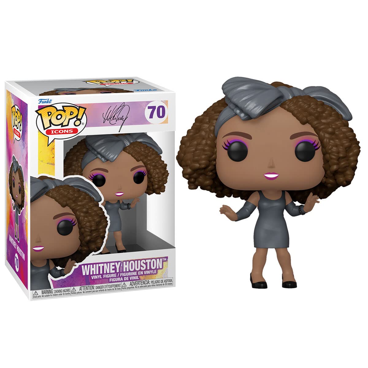Pop Figure Icons Whitney Houston
