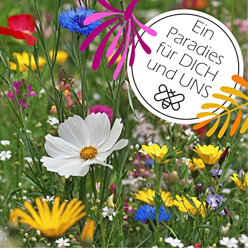 Blumenwiese-Samen von goodTRITION, 100 g für 100 qm