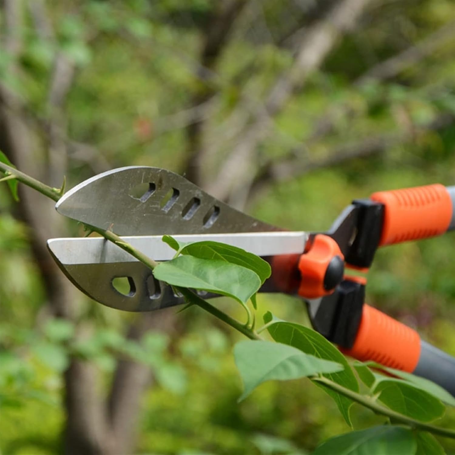 INLIMA Gardening Scissors Knives And Scissors Anti-Slip Handle Green Lawn Garden Modeling Clean Up Weeds Pruning Shears Tools (Color : Gold)