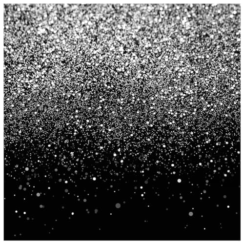WOLADA Silver Backdrop Black and Silver Backdrop 10x10FT FW18