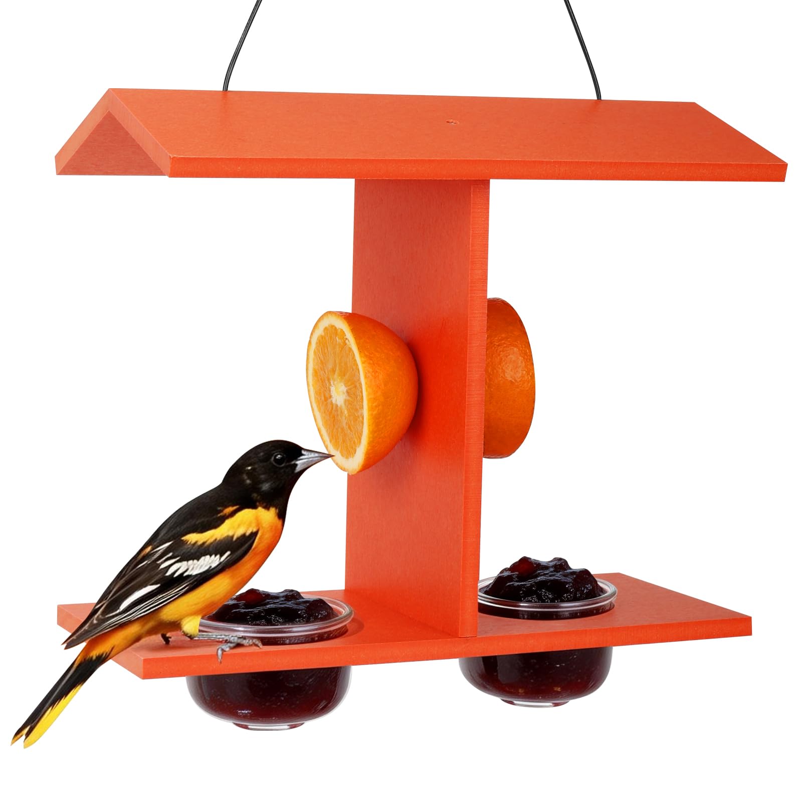 その他 Oliver Gal JUNGLE PARADE 51cm x 51cm Amazon.com : Beslands Oriole Feeders for Outdoor Hanging, 2 Jelly