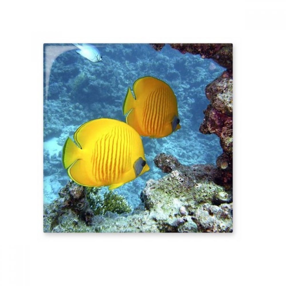 Carreaux céramique murale poisson azur en finition bisque émaillée haut de gamme