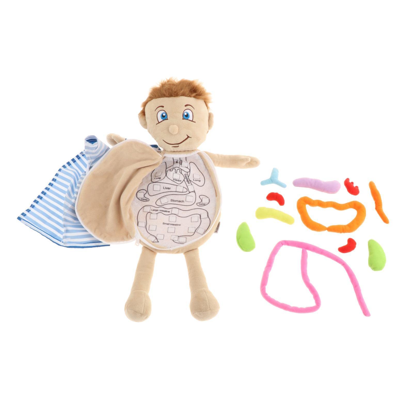 Modelo Interactivo de Anatomía Humana: Una Herramienta Educativa Fascinante para Niños, Multicolor2, 49x33x6cm