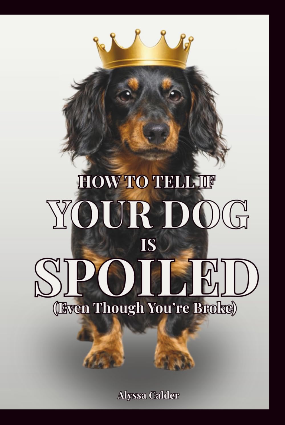 How To Tell If Your Dog is Spoiled (Even Though You’re Broke): A Satirical Guide to Life Under a Dog’s Rule