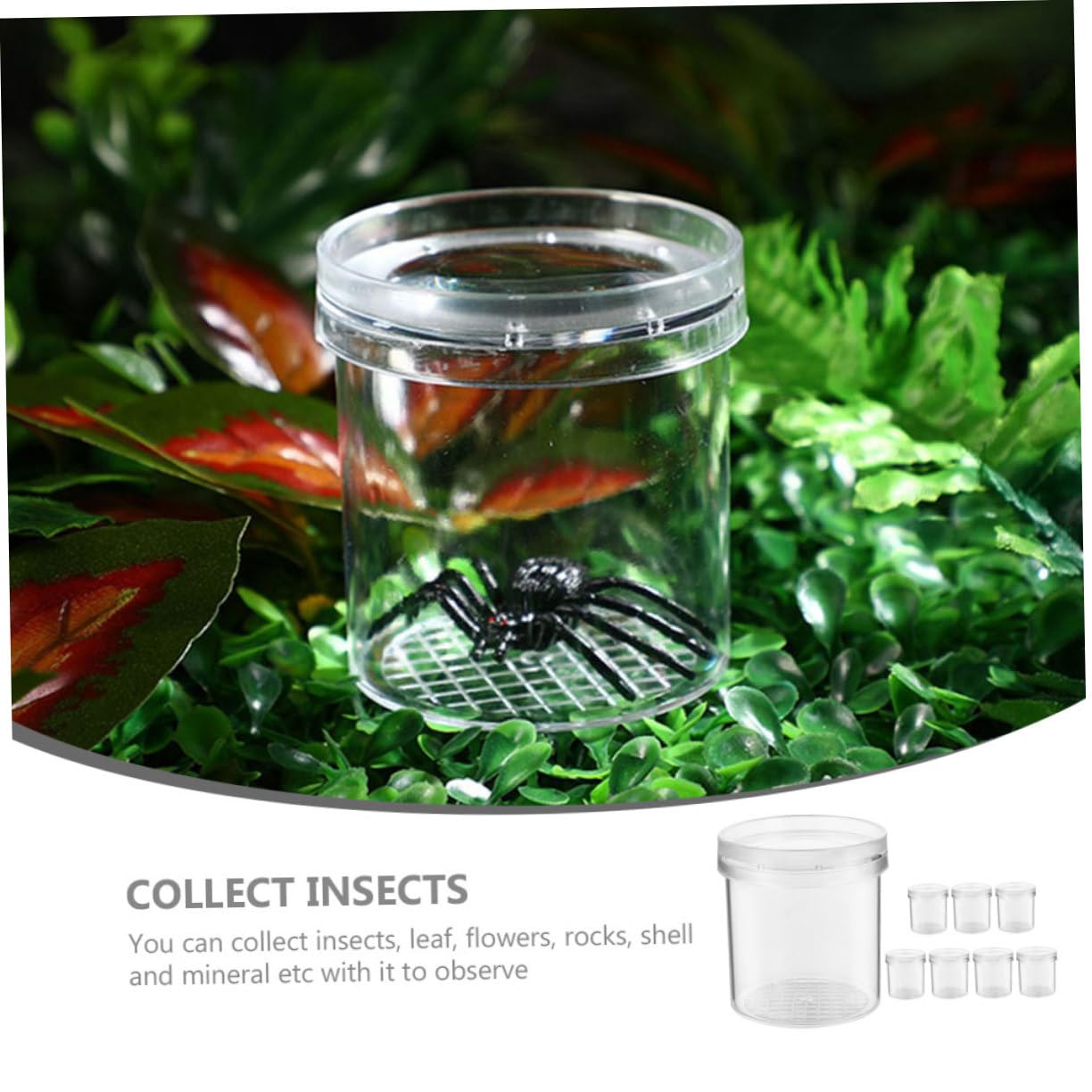Lot de 8 Boîtes Loupe pour Insectes Garçon et Filles Petit Format Observation Précise Extérieur Apprentissage Scientifique Exploration Naturelle