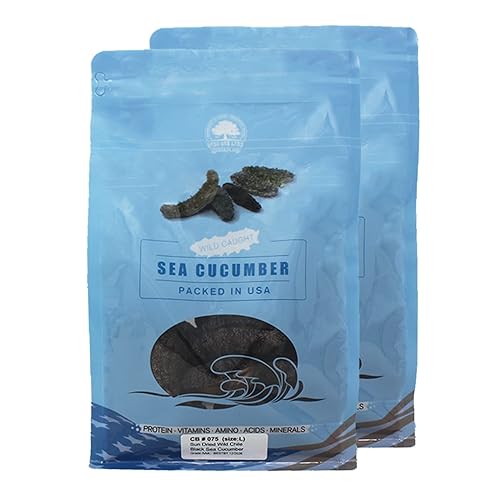 DABC OAK LAND Pepino de mar negro chileno Muy buen trato Pepino de mar en bolsa (Grande 2lbbolsa)