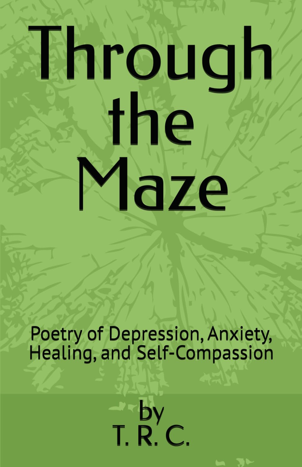 Through the Maze: Poetry of Depression, Anxiety, Healing, and Self-Compassion