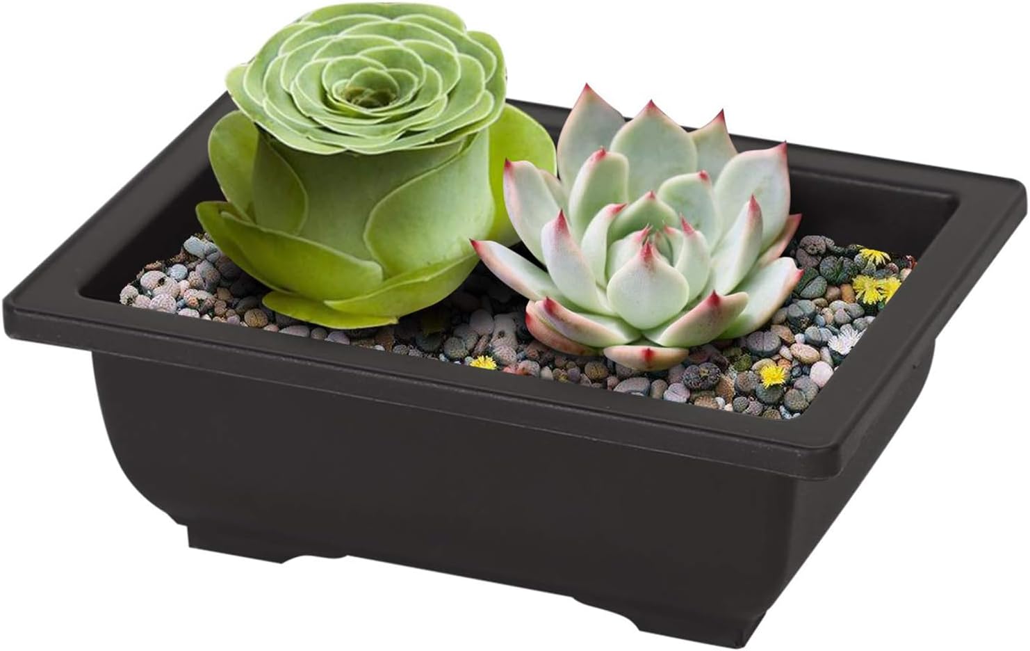 MANCHAP 20 PCS 8.9 Inch Plastic Bonsai Training Pots, Rectangular Bonsai Tree Planter Pot for Garden, Yard, Office, Home Decorative