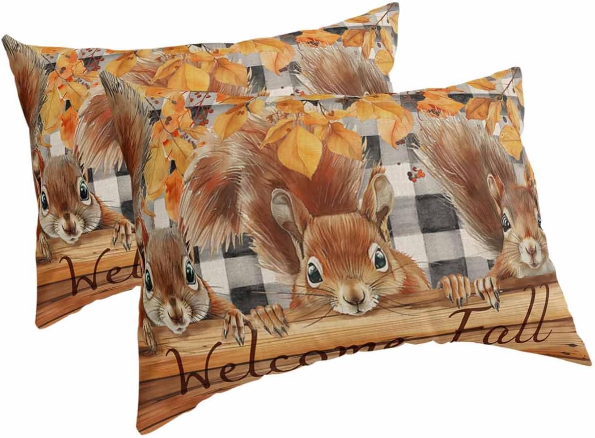 Thanksgiving Plaid Squirrel Standard Pillow Cases Set of 2, Fall Buffalo Black Maple Leaf Soft Breathable Pillow Covers with Envelope Closure Decorative Pillow Shams for Bed Sofa Couch Chair 20''x26''