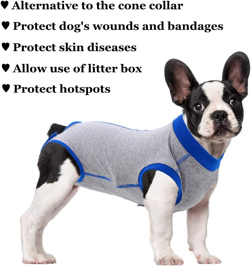 alternative to pet cone