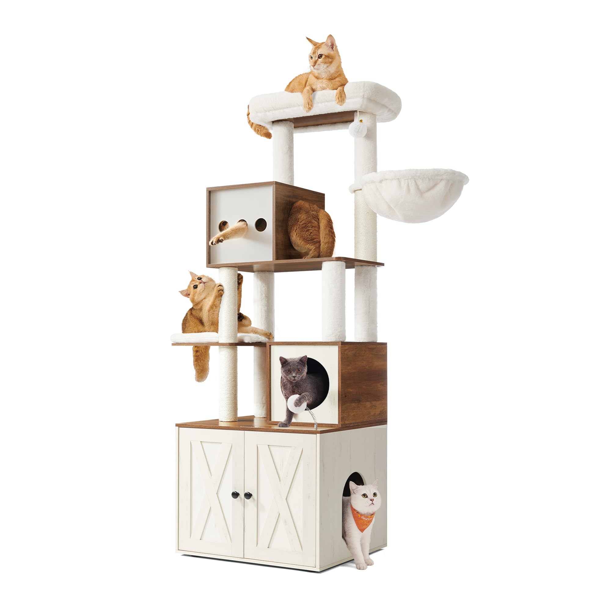 animal goods in promotion