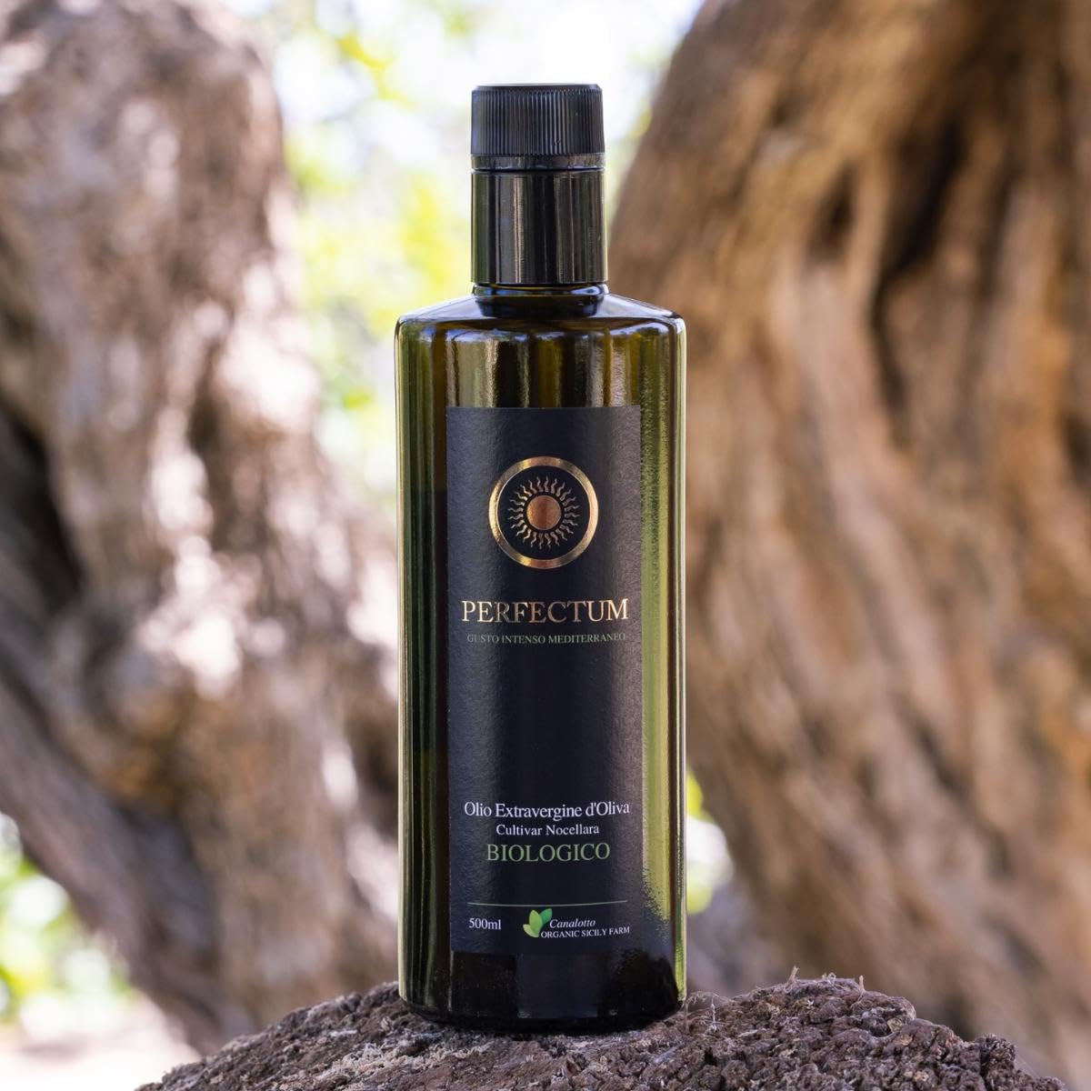 Canalotto Farm - Olio Extravergine di Oliva Biologico Nocellara del Belice, Olio EVO Italiano Estratto a Freddo, Fruttato Medio, Gusto Intenso, 2 x 500 ml
