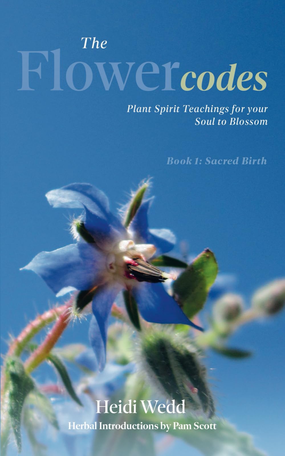 The Flower Codes: Plant Spirit Teachings for your Soul to Blossom Book 1: Sacred Birth