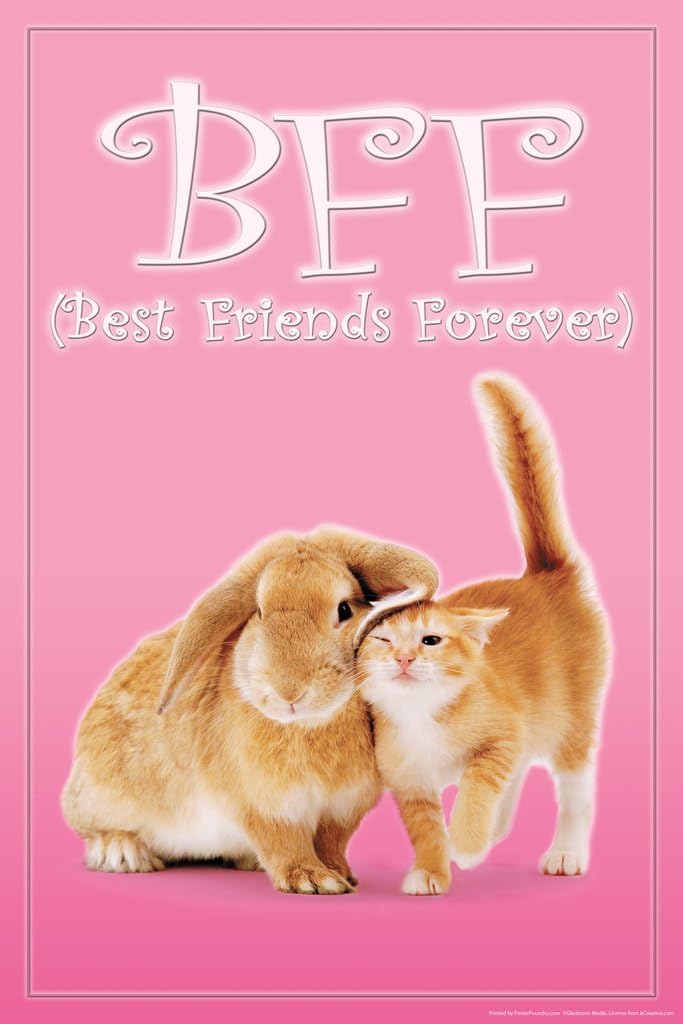 Amazon.com: BFF Best Friends Forever Bunny Kitten Cute Adorable ...