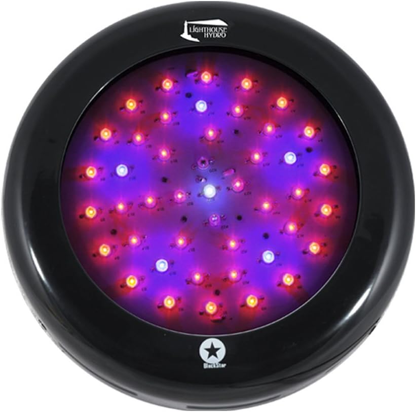 BlackStar Flowering LED Grow Light, 135-watt